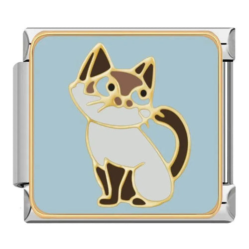 CAT - CHARM - Charea