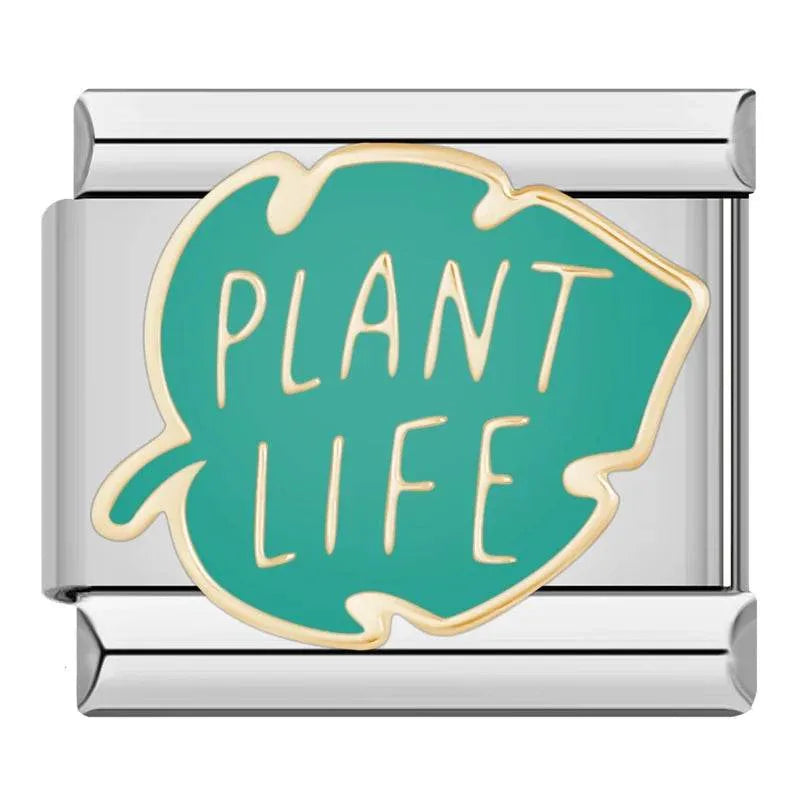 PLANT LIFE - CHARM - Charea