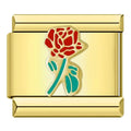 ROSE - CHARM - Charea