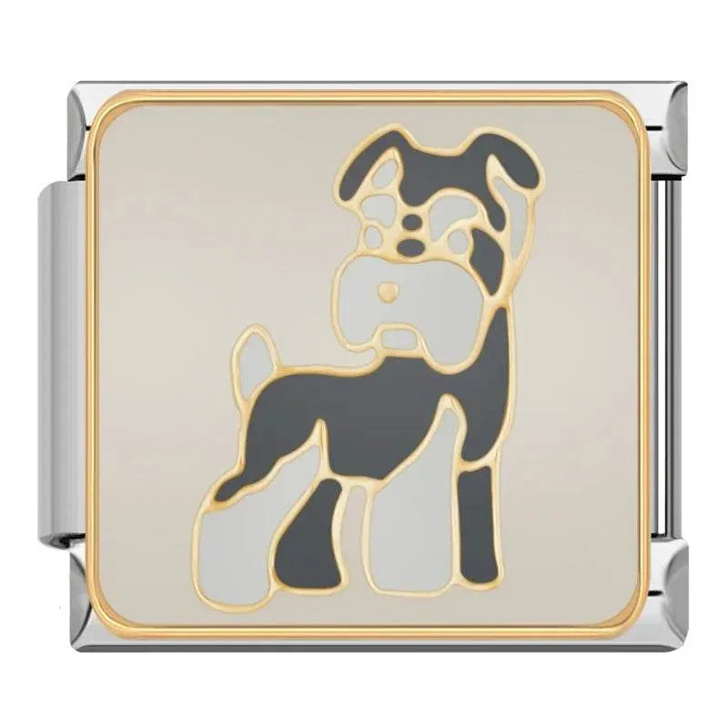 DOG - CHARM - Charea