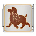 DOG - CHARM - Charea