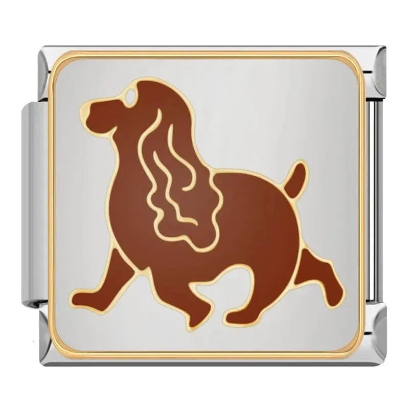 DOG - CHARM - Charea