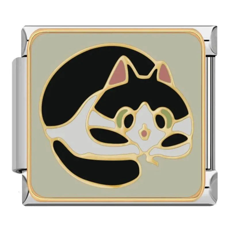 CAT - CHARM - Charea