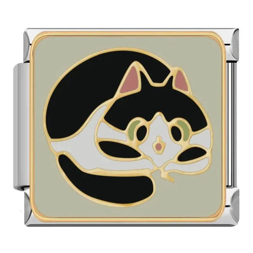 CAT - CHARM - Charea