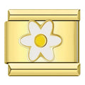 DAISY - CHARM - Charea