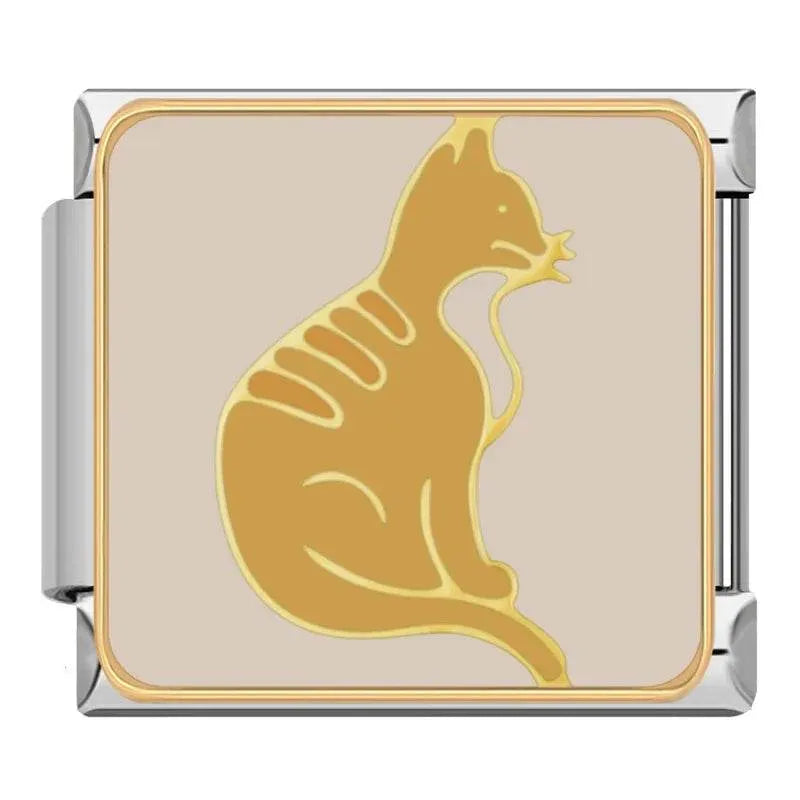 CAT - CHARM - Charea