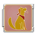 DOG - CHARM - Charea