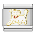 DOG - CHARM - Charea