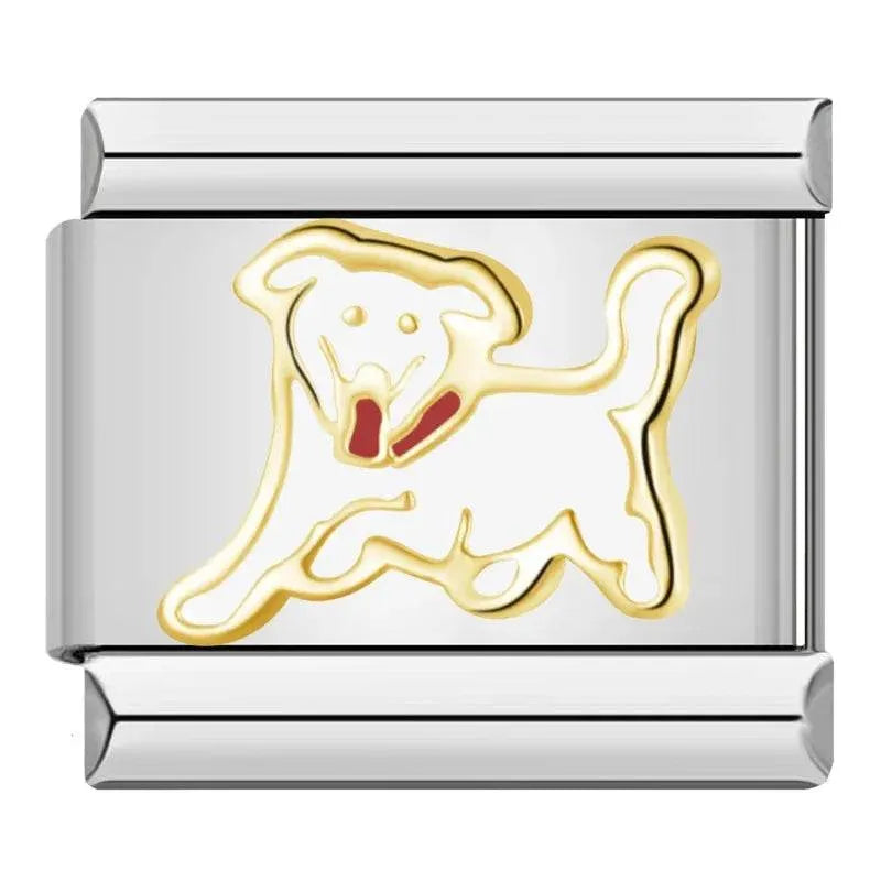 DOG - CHARM - Charea