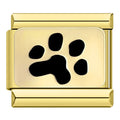 PAW - CHARM