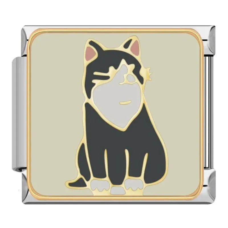 CAT - CHARM - Charea