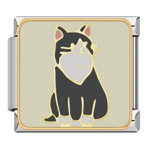CAT - CHARM - Charea