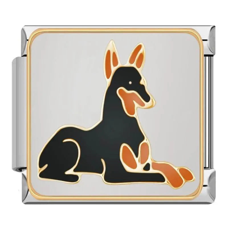 DOG - CHARM - Charea